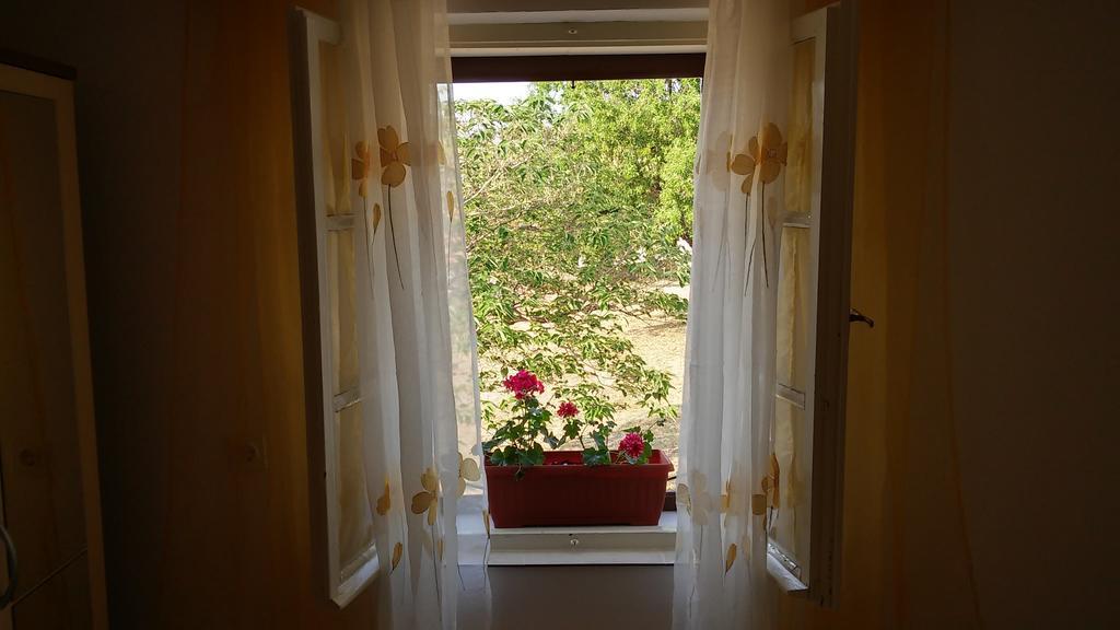 Apartment Karla Jadrtovac 客房 照片